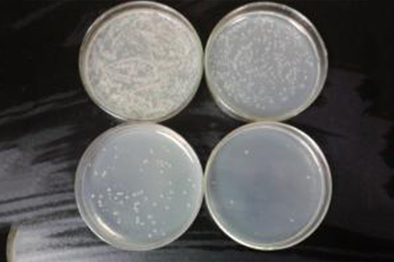 1655790962613592.png image.png