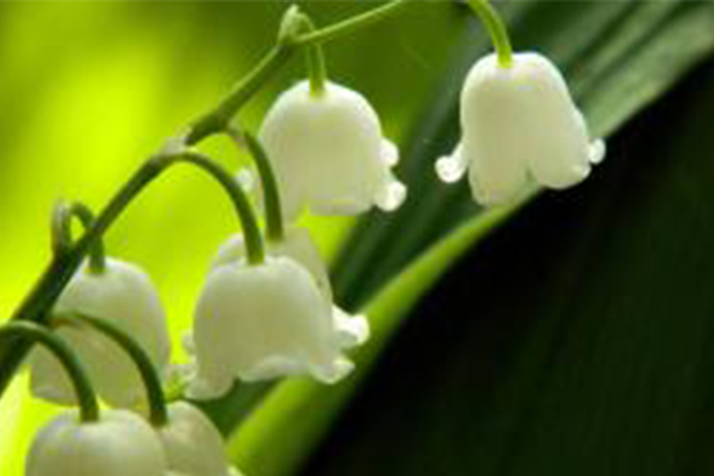 1655791187402612.png image.png