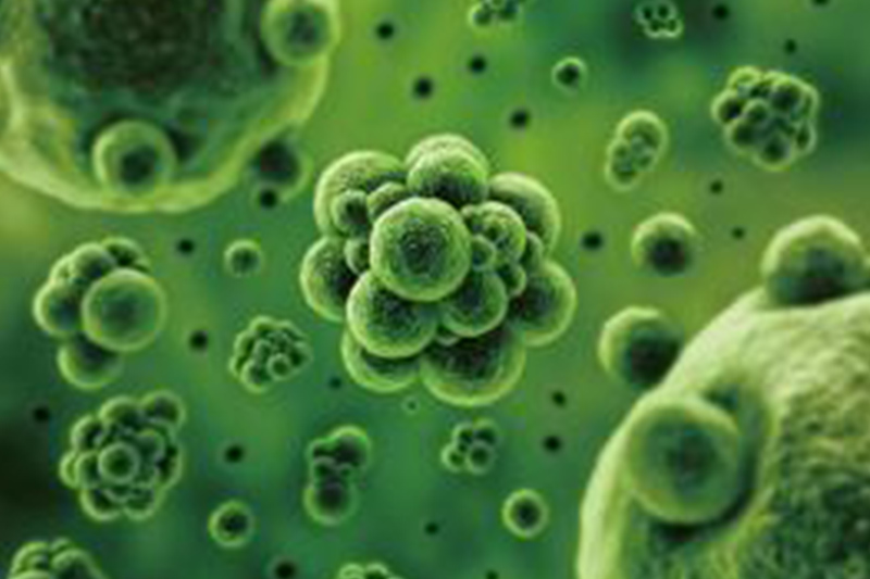 1655790901732784.png image.png