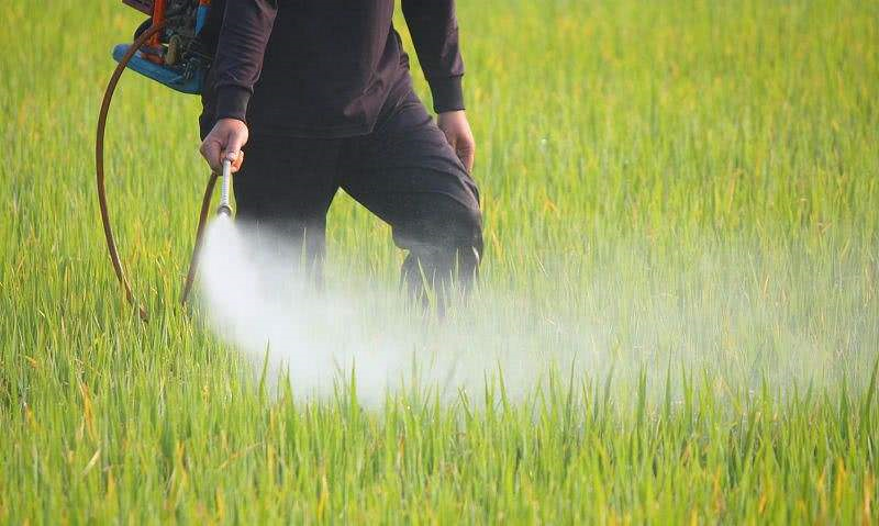 1655790275184805.png image.png