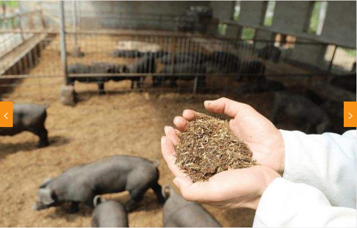 1655789624882528.png image.png