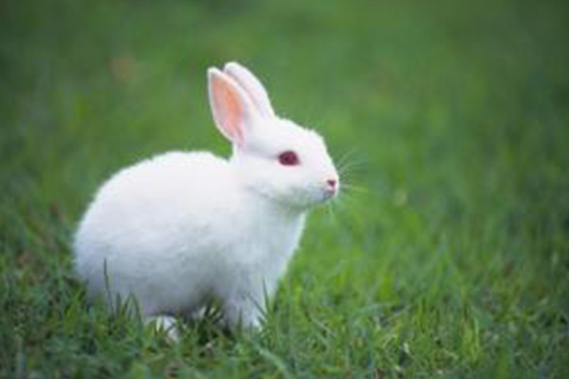 1655790996631588.png image.png